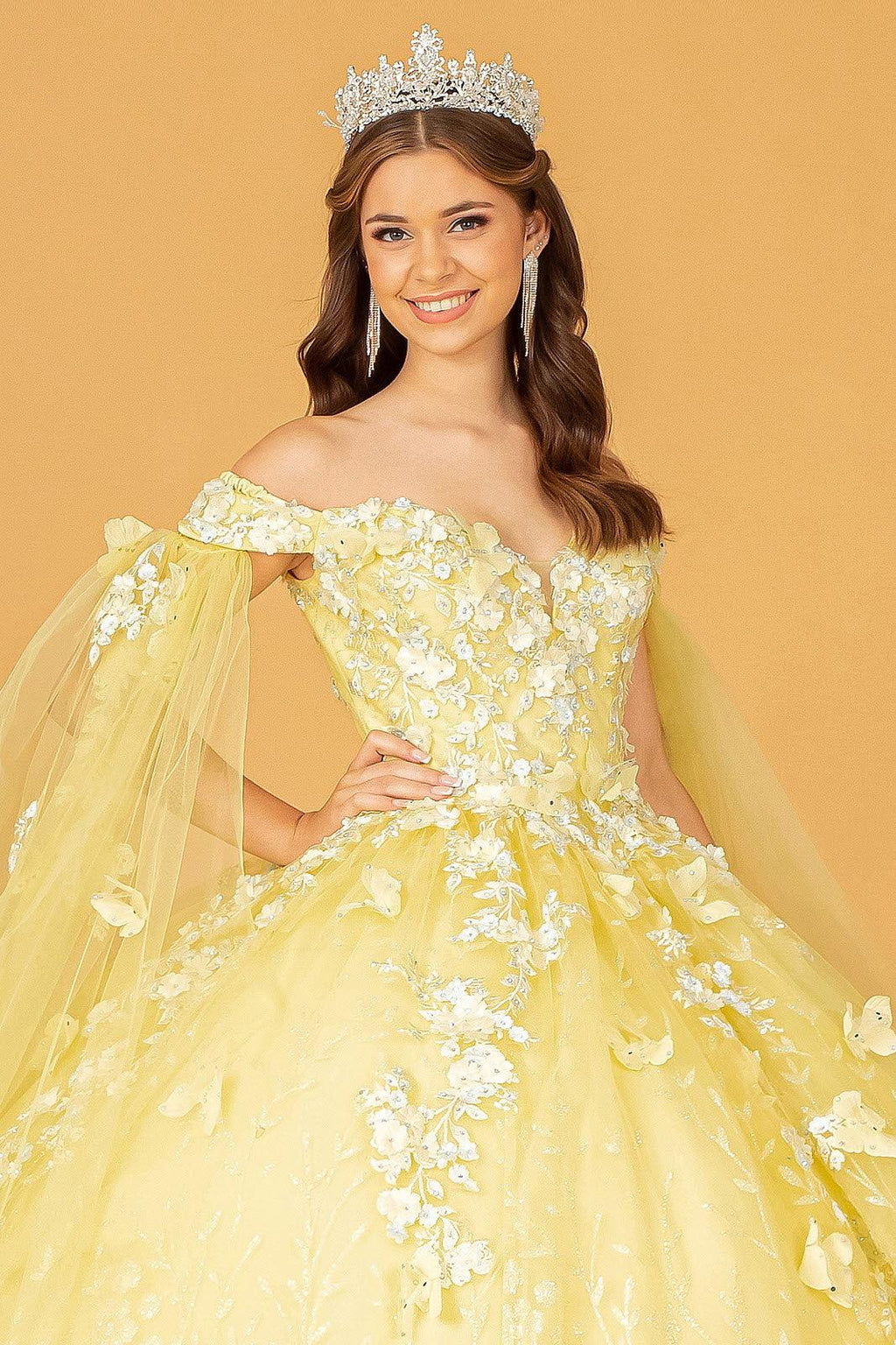 Long Ball Gown Glitter Quinceanera Dress